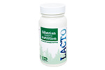 Lacto